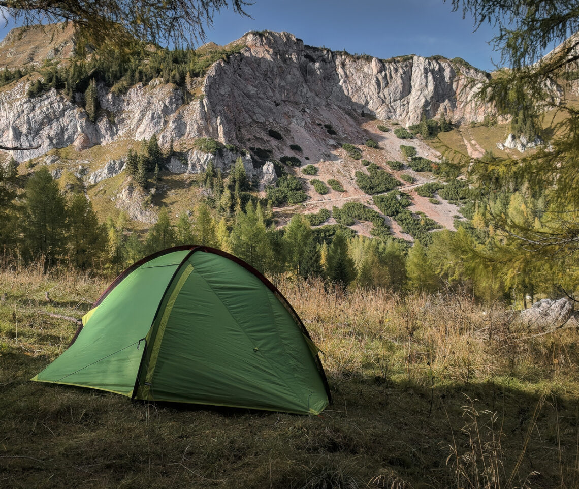 In cerca di animali. Alpi Carniche, Italia.