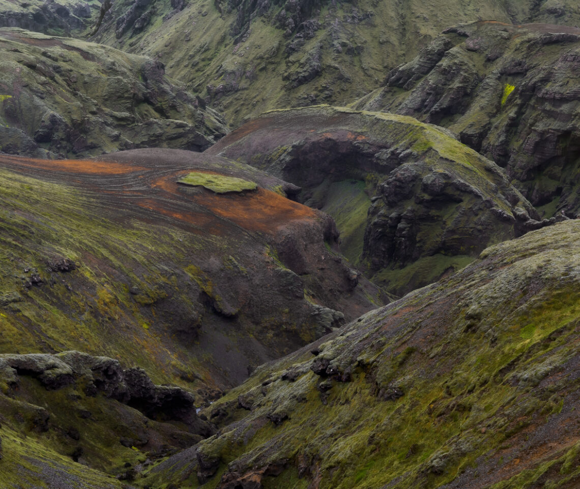 Laddove un tempo scorrevano fiumi di lava incandescente, oggi gli elementi ne hanno plasmato le forme, e la vita si è presa i suoi spazi. Islanda.