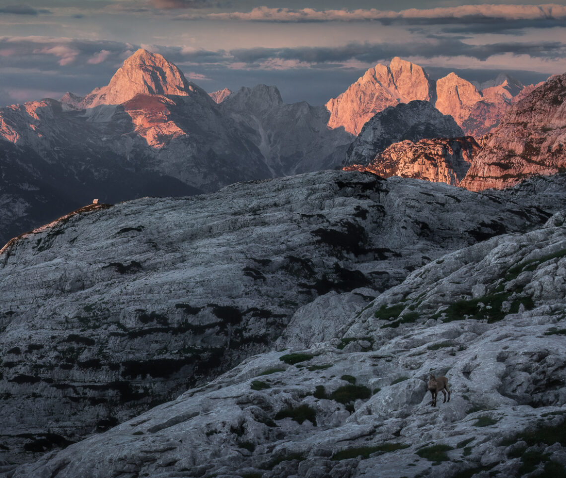 Una luce calda illumina le fortezze più alte del Regno di pietra delle Alpi Giulie. I sudditi, già nell’ombra di una notte ormai alle porte, prestano il loro omaggio alla bellezza. Alpi Giulie, Italia.