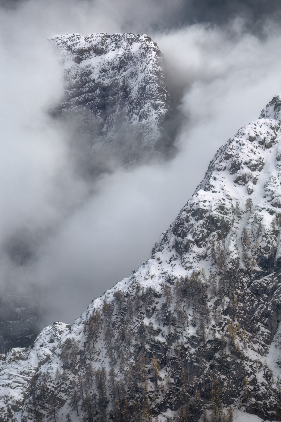 Colossali titani di roccia fanno breccia tra le nubi di una fredda giornata tardo autunnale. I larici si mettono al riparo come possono. Alpi Giulie, Italia.