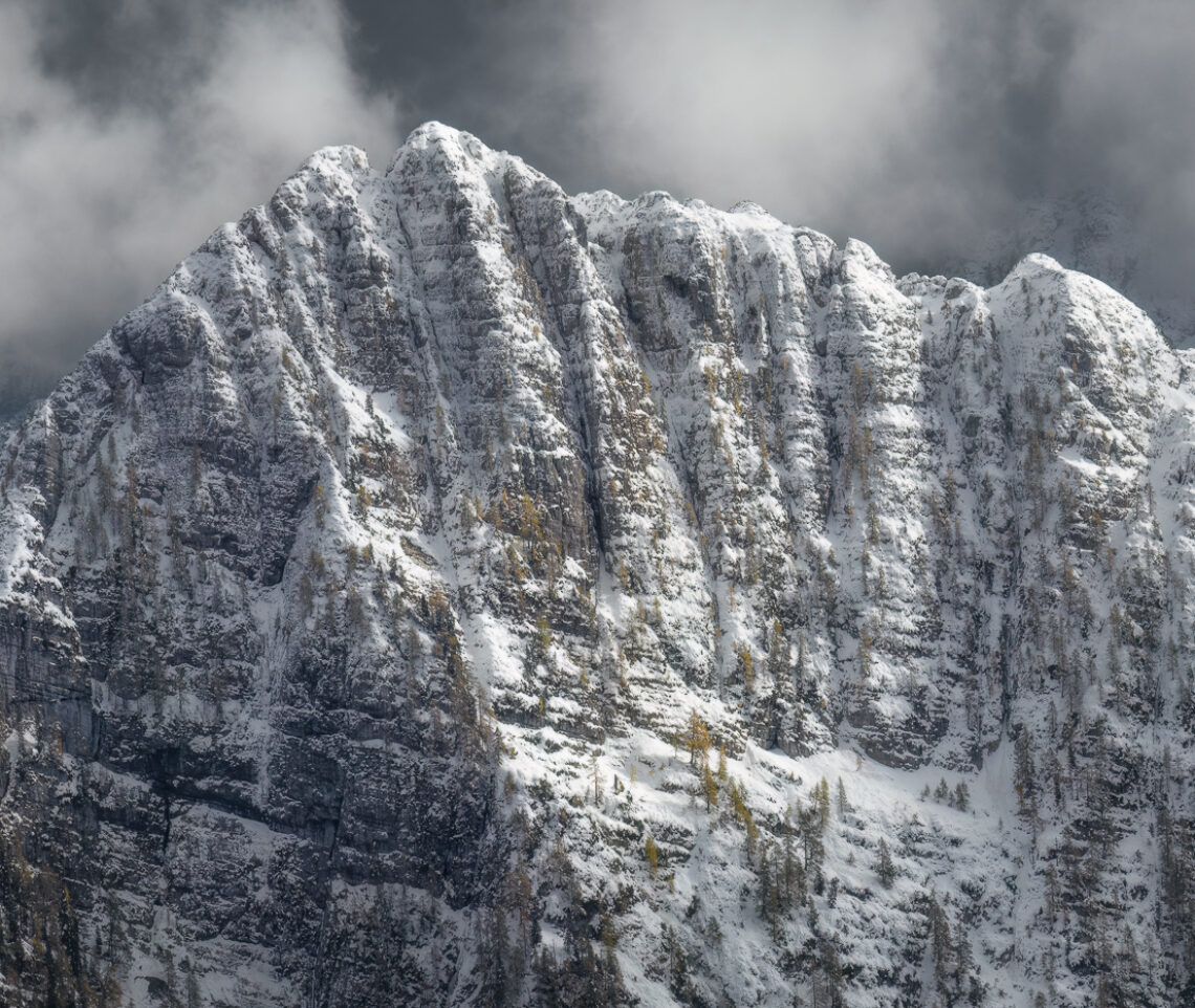 La prima neve autunnale avvolge le cime delle Alpi Giulie, mostrando tutta la resistenza e il coraggio dei larici, veri pionieri delle alte quote. Alpi Giulie, Italia.