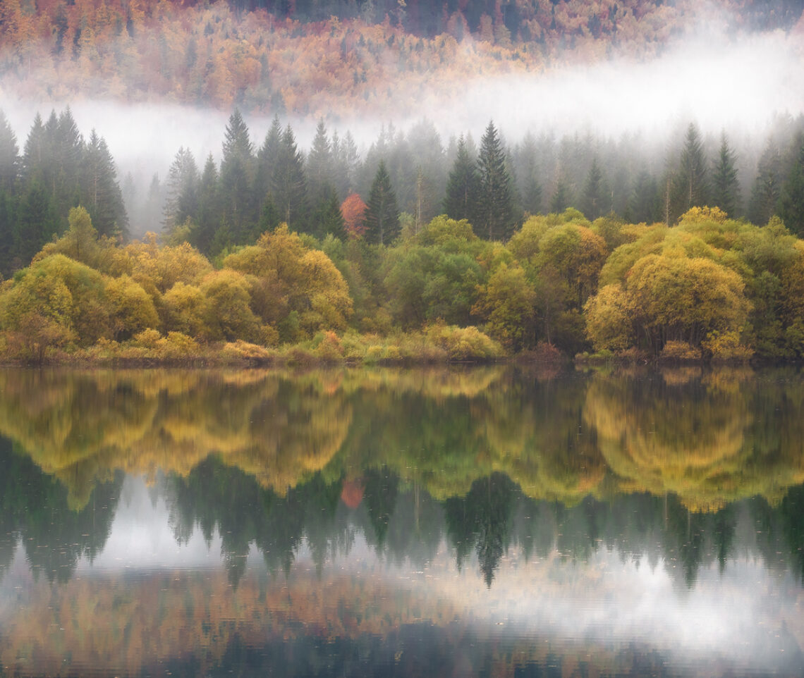 La nebbia si dirada, dando vita allo spettacolo autunnale della foresta di Tarvisio. Alpi Giulie, Italia.