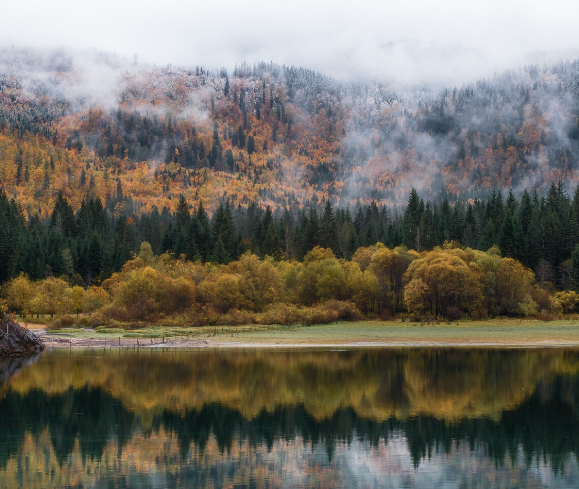 L’autunno della foresta di Tarvisio incontra l’inverno. Alpi Giulie, Italia.