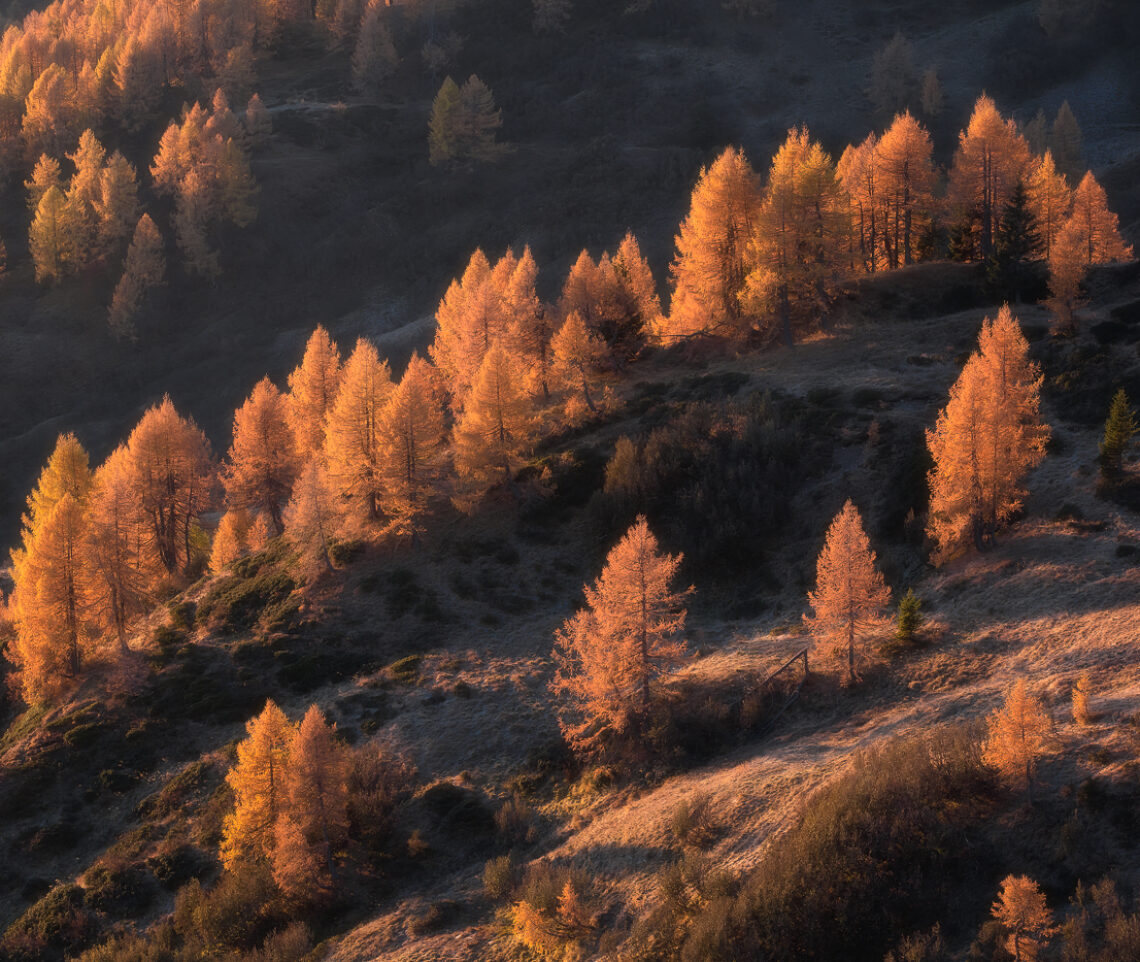 La delicatezza dell’alba dorata. Massima espressione dei paesaggi autunnali. Dolomiti Ampezzane, Italia.