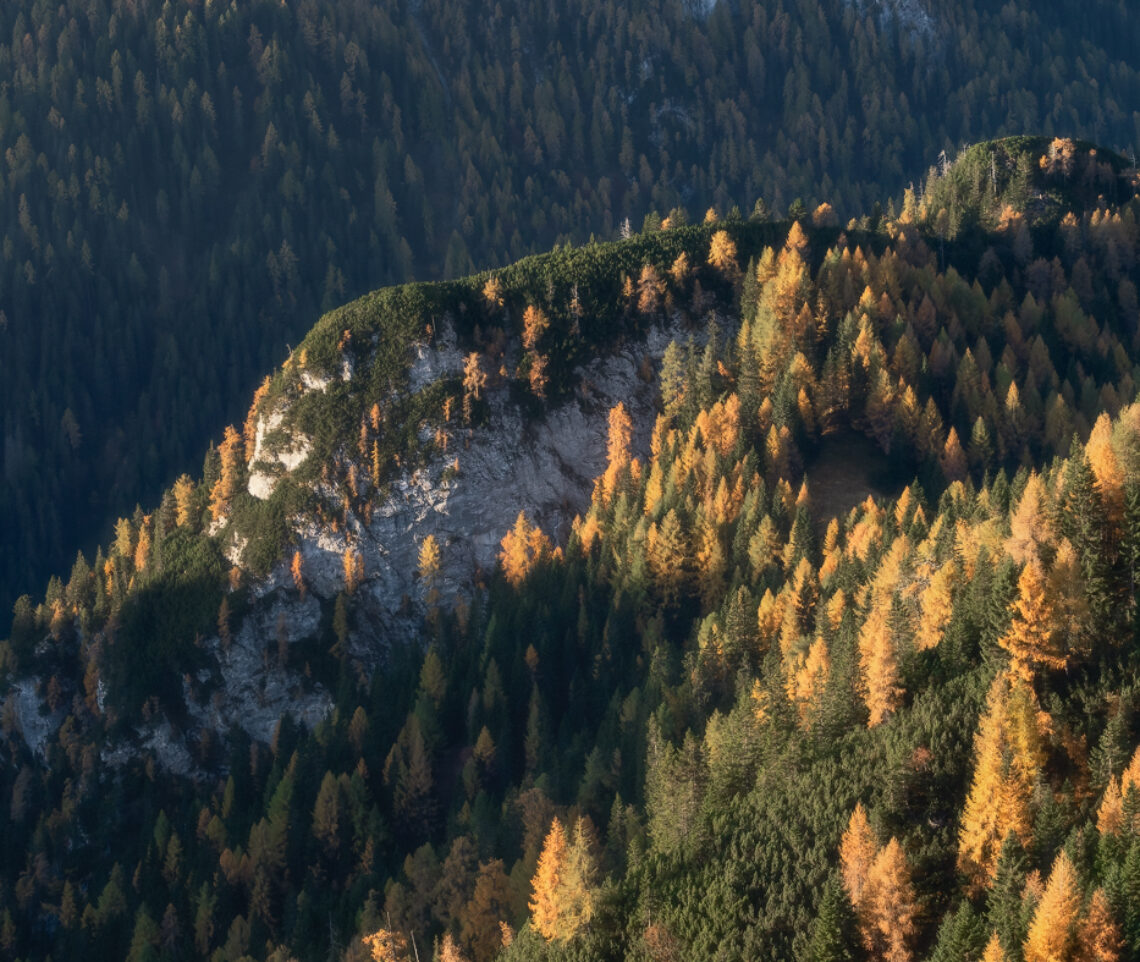 Foreste autunnali variopinte donano tridimensionalità alle valli alpine. Dolomiti Friulane, Italia.