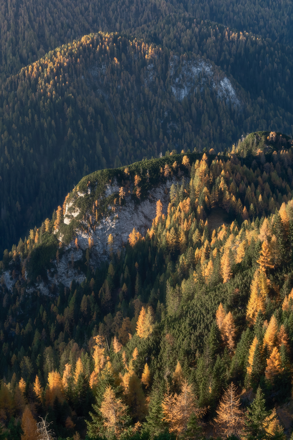 Foreste autunnali variopinte donano tridimensionalità alle valli alpine. Dolomiti Friulane, Italia.