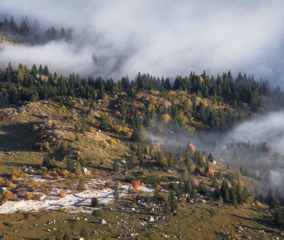 Le nuvole accarezzano i boschi autunnali delle Alpi Giulie, Italia.