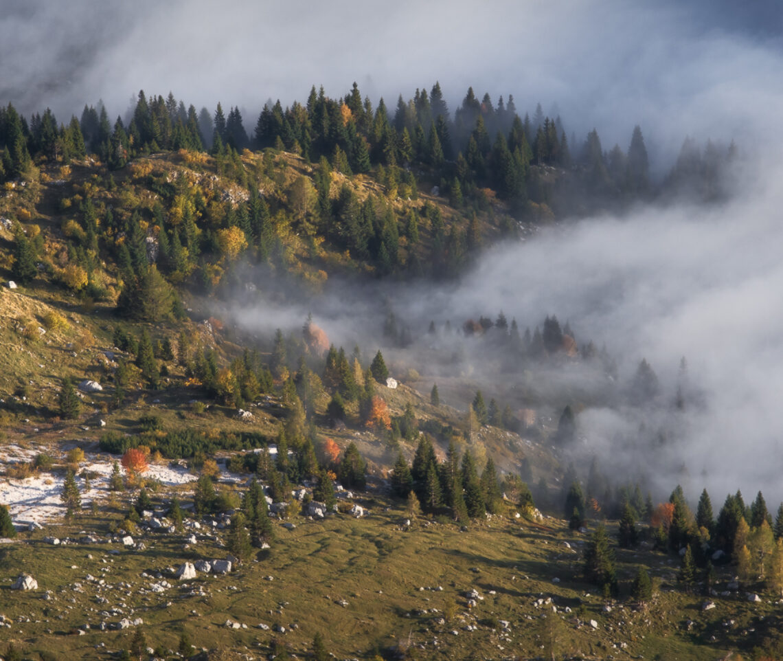 Il paesaggio vestito d’autunno delle Alpi Giulie non può sfuggire al velo avvolgente della nebbia. Alpi Giulie, Italia.