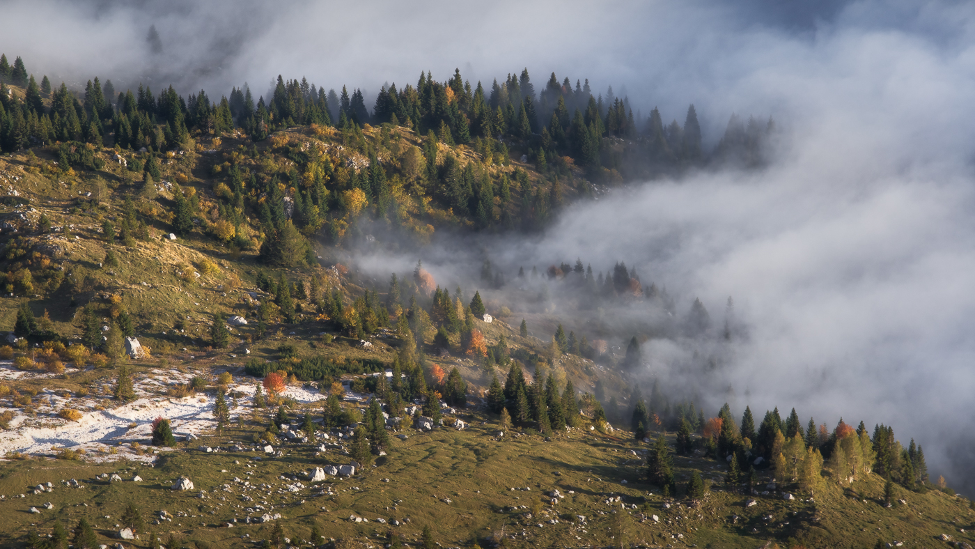 Il paesaggio vestito d’autunno delle Alpi Giulie non può sfuggire al velo avvolgente della nebbia. Alpi Giulie, Italia.