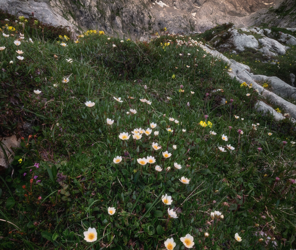 I giganti di roccia delle Marmarole svettano per catturare gli ultimi raggi di Sole delle lunghe giornate estive. Gruppo delle Marmarole, Italia.