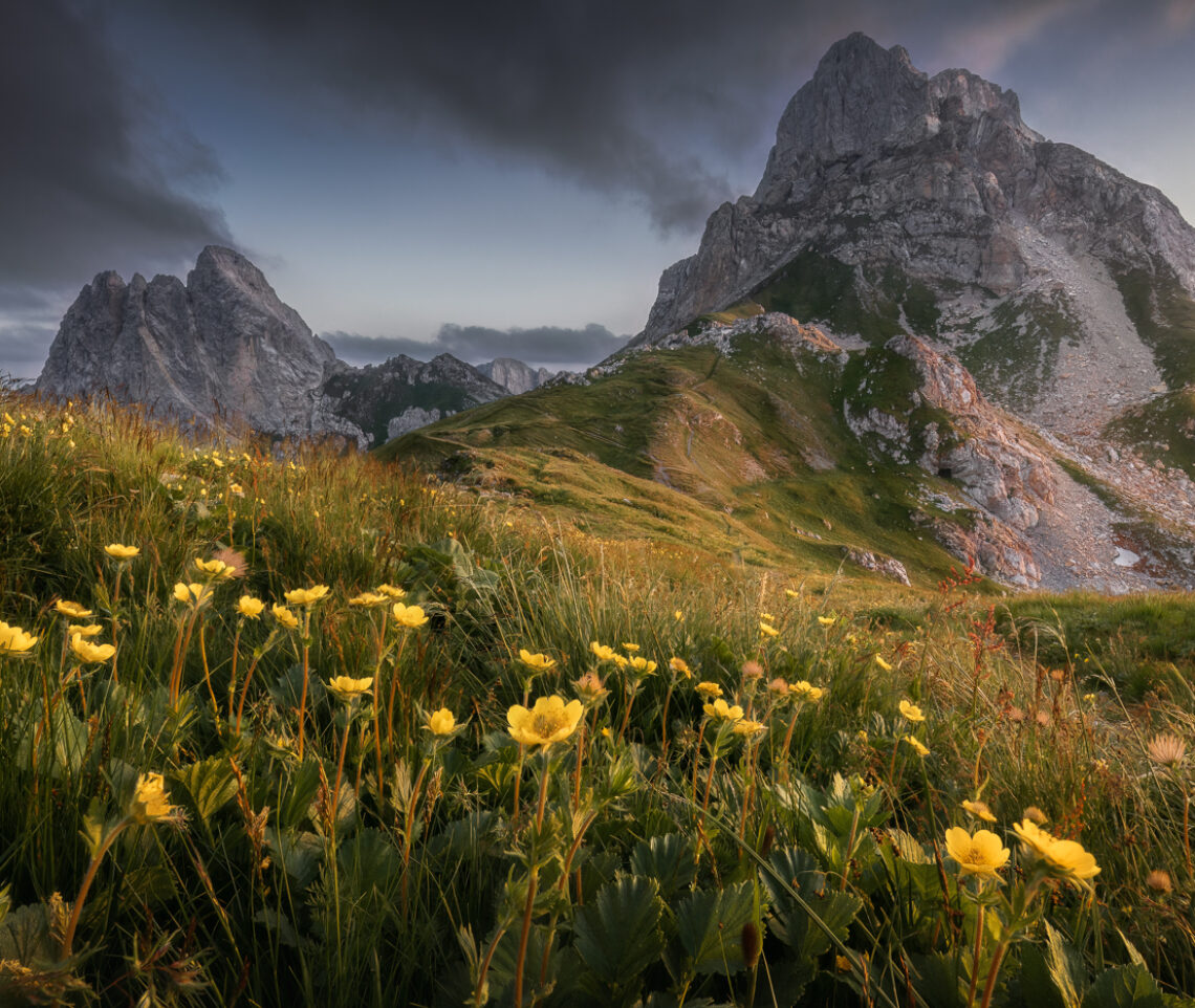 Quando penso alla Carnia, penso al colore verde, che, al tramonto, si può anche tingere di giallo. Alpi Carniche, Italia.