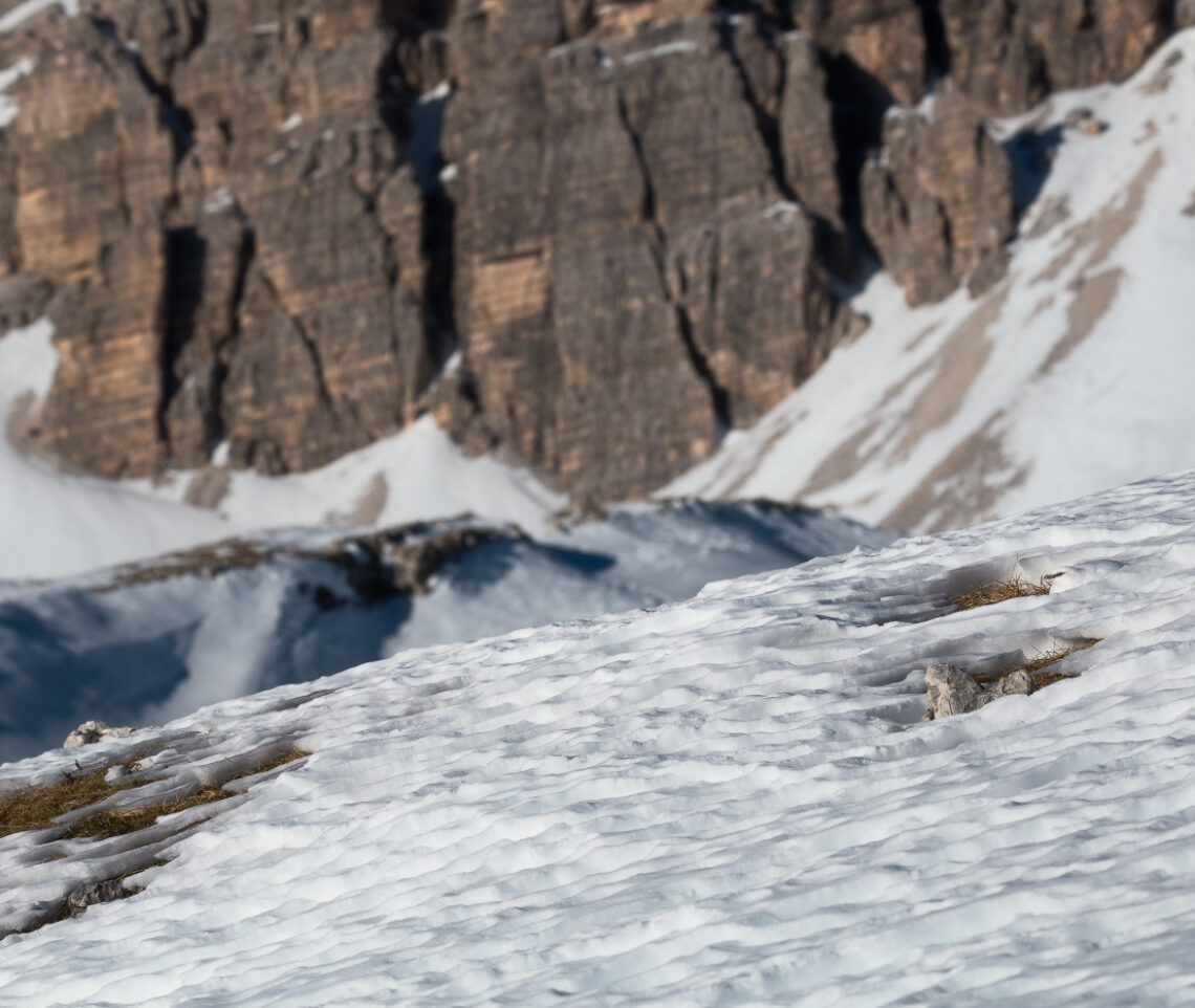 L’obiettivo è trovare la pernice bianca (Lagopus muta). Parco Naturale Tre Cime, Dolomiti di Sesto, Italia.