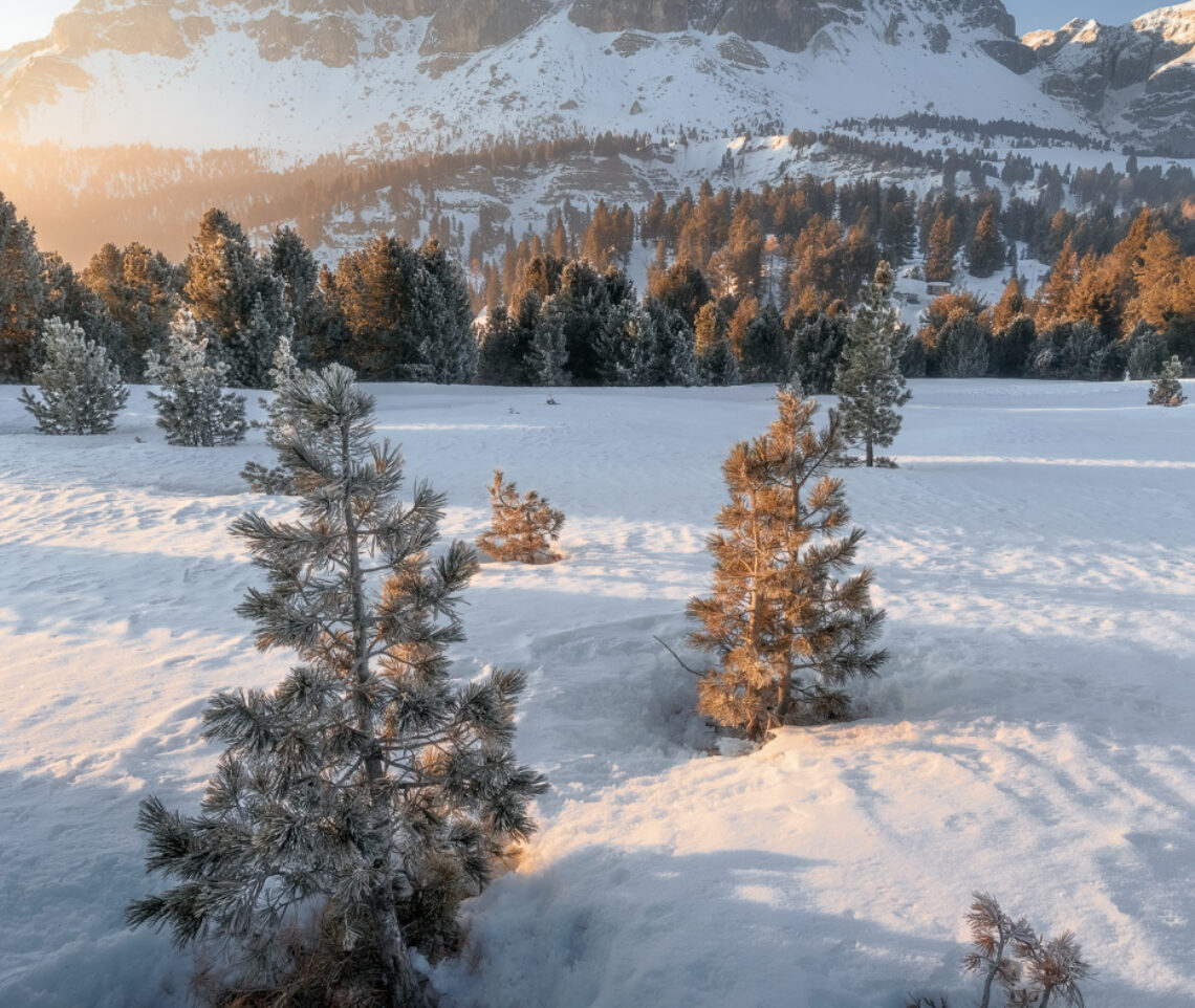 Una luce divina tenta di riscaldare un paesaggio sospeso nel tempo al termine di una notte gelida. Parco Naturale Puez-Odle, Italia.