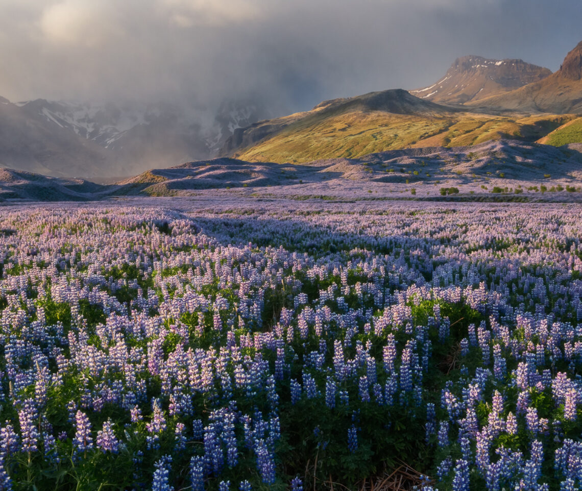 Una burrasca avvolge le cime dei rilievi che sorreggono il gigante bianco, il Vatnajökull. Alle mi spalle, invece, domina la luce del tramonto. Lo scontro è sublime. È l’Islanda. Vatnajökull National Park, Islanda.