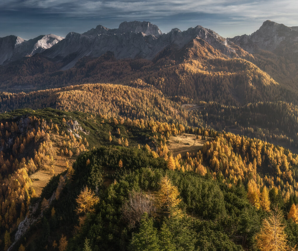 Le foreste autunnali d’alta quota colonizzano il paesaggio vestendolo di bellezza. Alpi Carniche, Italia.