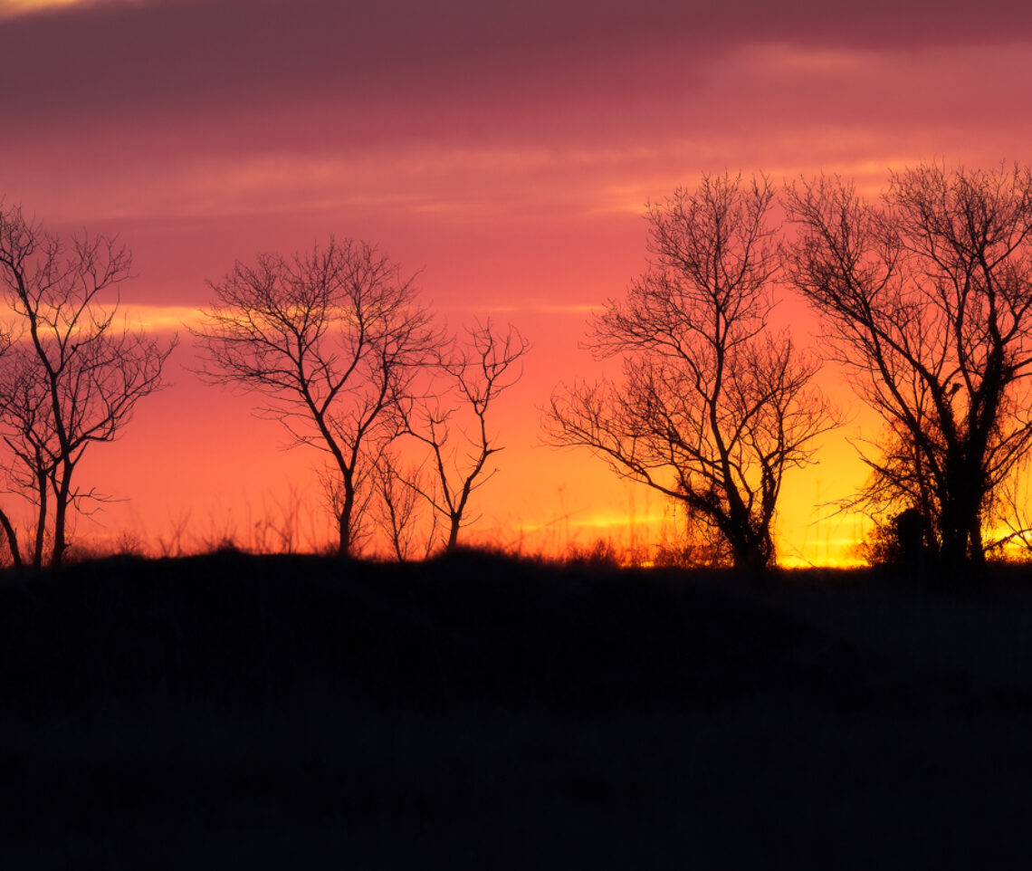 Il tramonto invernale, nelle terre magre del Friuli centrale, porta l’immaginazione verso luoghi molto più lontani. Magredi del Cellina, Italia.